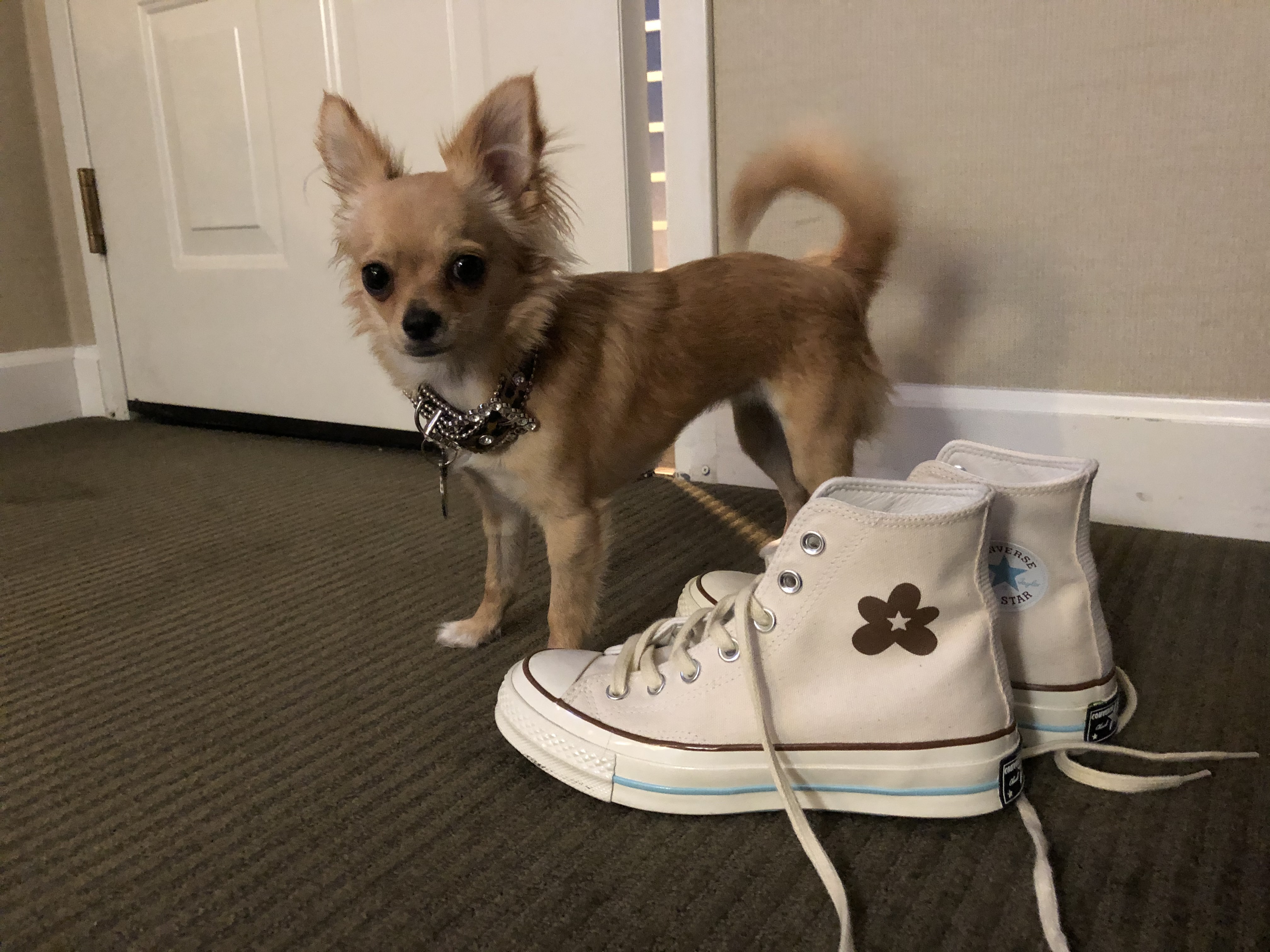 teenage holli next to a giant converse shoe
